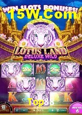 Programa VIP Top88